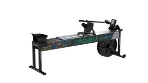 Dragon Boat Ergometer (D1X) - Canada